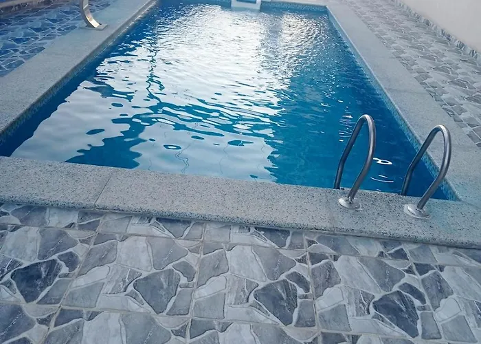 Dolphin El Qoseir